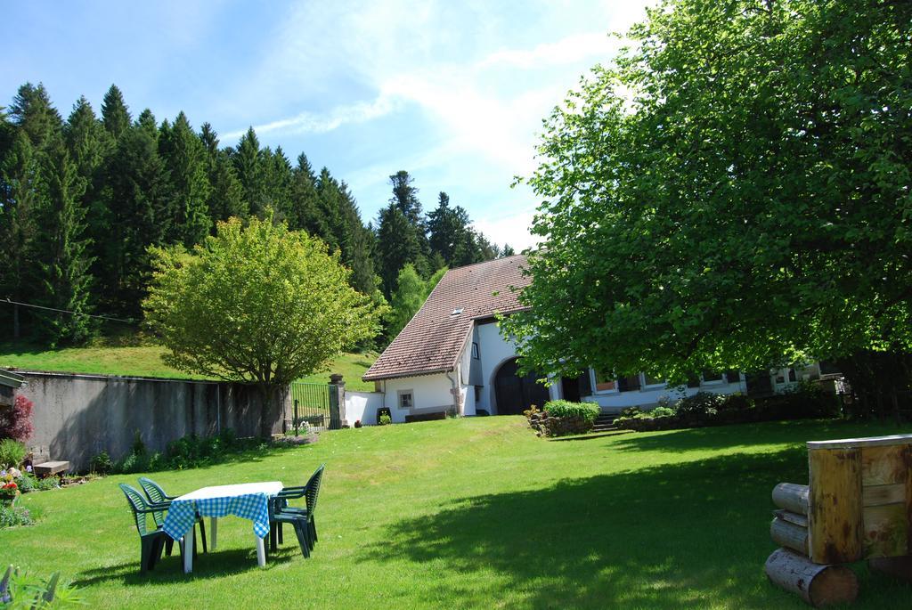 Chambre D'Hotes Kieffer Le Grand Bienfaisy Remiremont Exterior foto